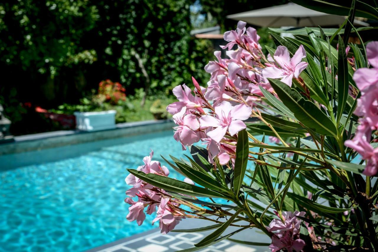 Le 17 Hotel Courthezon ภายนอก รูปภาพ